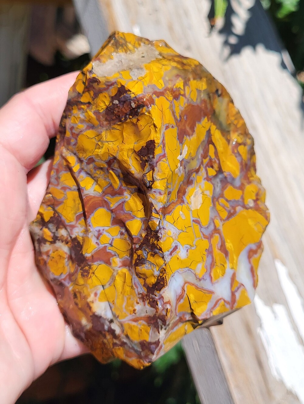 5 Piece Colorful  Jasper Bundle